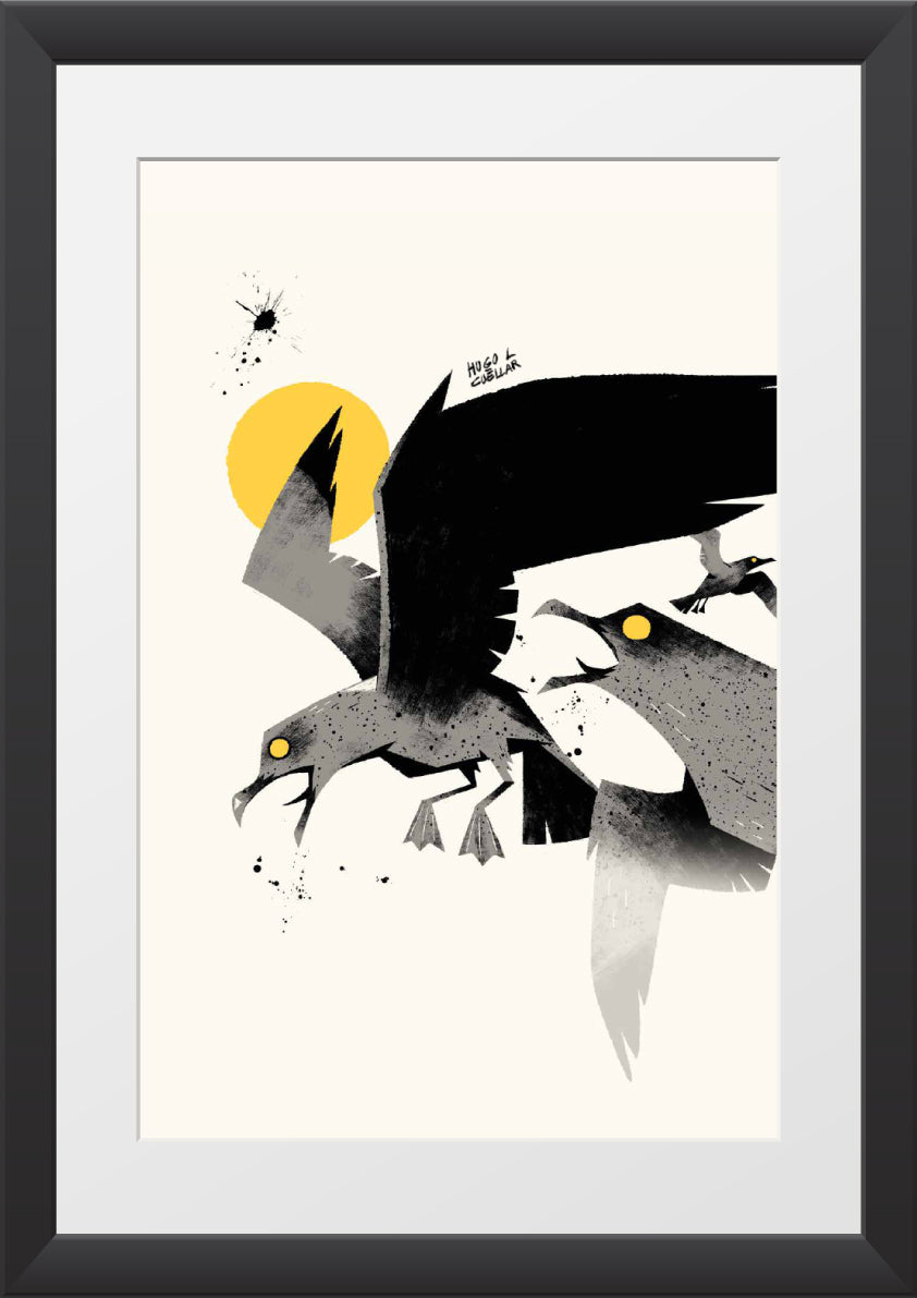Gulls